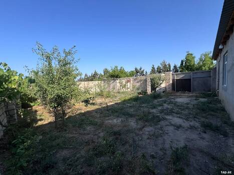 Bağ evi, Albalılıq qəs.