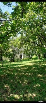 Həyət evi, Şəki r.