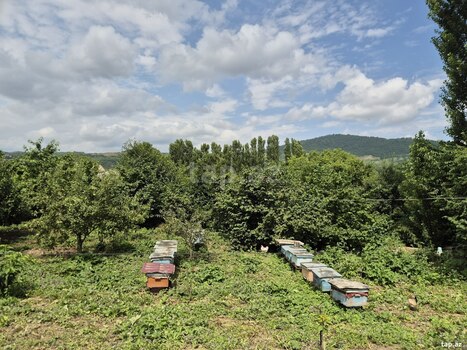 Həyət evi, Quba r.