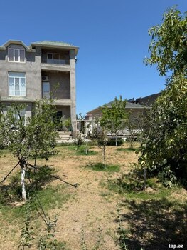 Bağ evi kirayə verilir, Türkan qəs.