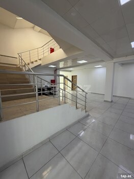 Ofis icarəyə verilir, Əli Nəzmi küç.