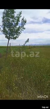 12 sot torpaq sahəsi, Cəlilabad r.