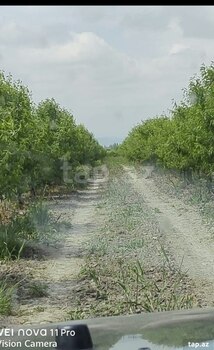 320 sot torpaq sahəsi, Xaçmaz r.