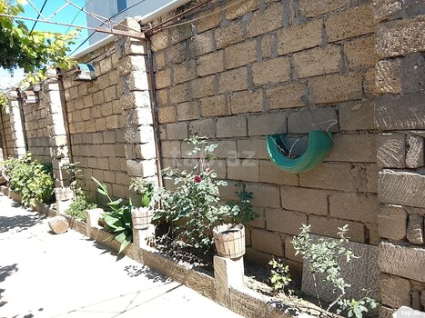 Həyət evi, Hökməli qəs.