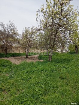 30 sot torpaq sahəsi, Şamaxı r.