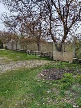 30 sot torpaq sahəsi, Şamaxı r.