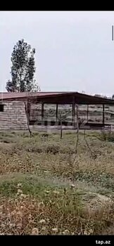 Obyekt, Saatlı r.
