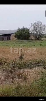 Obyekt, Saatlı r.