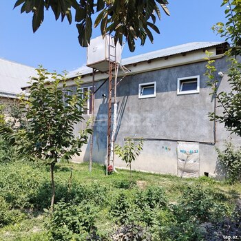 Həyət evi, Şəki ş.