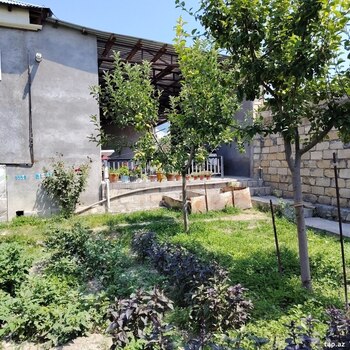 Həyət evi, Şəki ş.