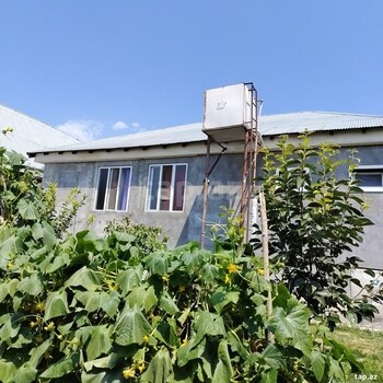 Həyət evi, Şəki ş.