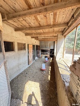 Həyət evi, Hövsan qəs.