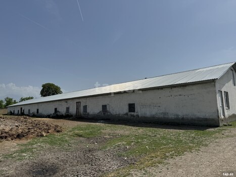 10000 sot torpaq sahəsi, Oğuz r.
