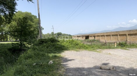 10000 sot torpaq sahəsi, Oğuz r.
