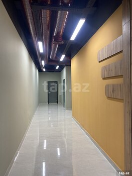 Ofis icarəyə verilir, Nəsimi r.