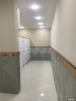 Ofis icarəyə verilir, Nəsimi r.