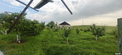 Bağ evi, Quba r.