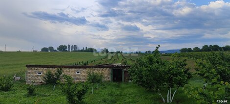 Bağ evi, Quba r.