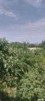 Həyət evi, Ağdaş r.