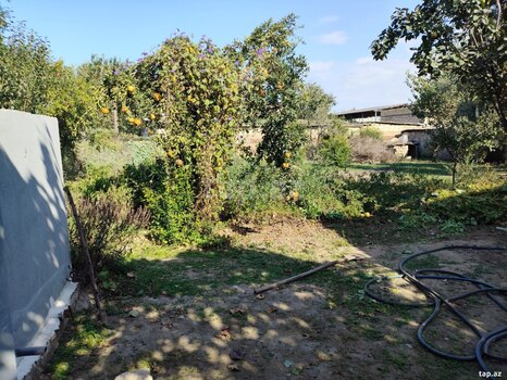 Həyət evi, Biləsuvar r.