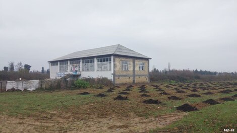 Mağaza icarəyə verilir, Astara r.