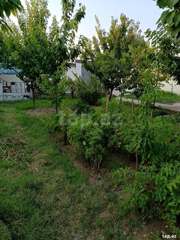 Həyət evi, Gəncə ş.