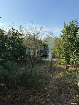4 sot torpaq sahəsi, Xudat ş.