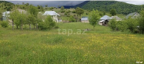 16 sot torpaq sahəsi, İsmayıllı r.