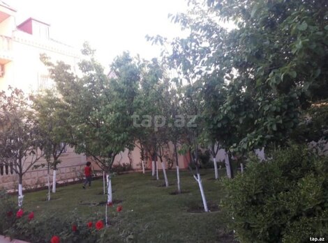 Həyət evi kirayə verilir, Novxanı qəs.