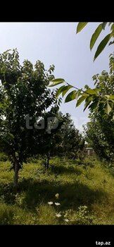Bağ evi, Xaçmaz r.