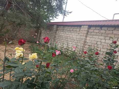 Həyət evi kirayə verilir, Quba r.