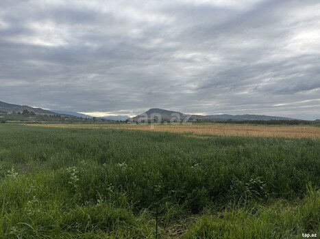 189 sot torpaq sahəsi, Quba r.