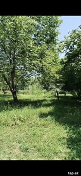 10 sot torpaq sahəsi, Qəbələ r.