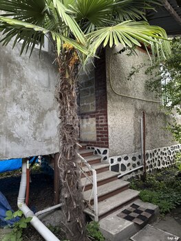 Həyət evi, Zaqatala ş.