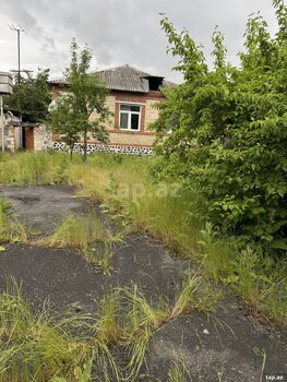 Həyət evi, Zaqatala ş.