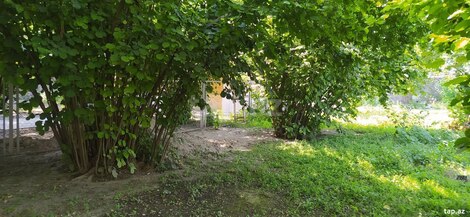 Həyət evi, Oğuz r.