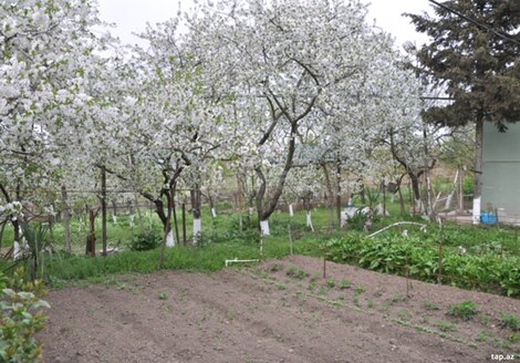 Bağ evi, Şamaxı r.
