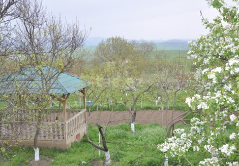 Bağ evi, Şamaxı r.