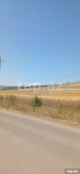 220 sot torpaq sahəsi, Şamaxı r.