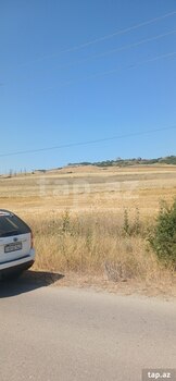 220 sot torpaq sahəsi, Şamaxı r.