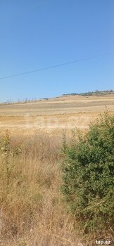 220 sot torpaq sahəsi, Şamaxı r.