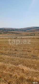 220 sot torpaq sahəsi, Şamaxı r.