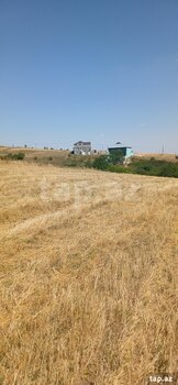 220 sot torpaq sahəsi, Şamaxı r.