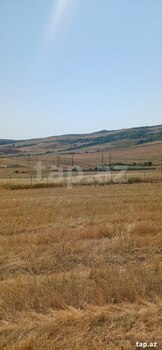 220 sot torpaq sahəsi, Şamaxı r.