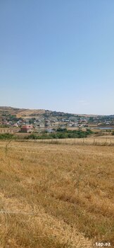 220 sot torpaq sahəsi, Şamaxı r.