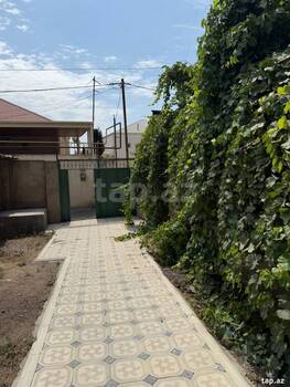Həyət evi kirayə verilir, Nəsimi m.