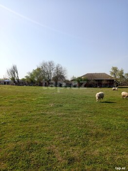 Həyət evi, Sabirabad r.