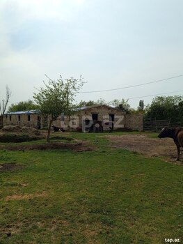 Həyət evi, Sabirabad r.