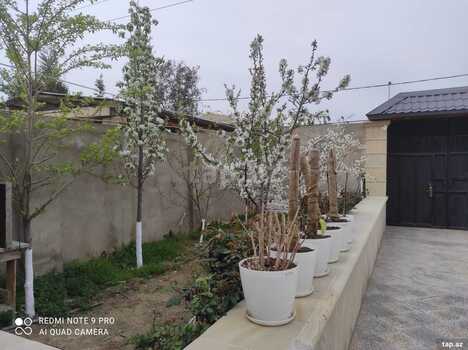 Həyət evi, Ceyranbatan qəs.