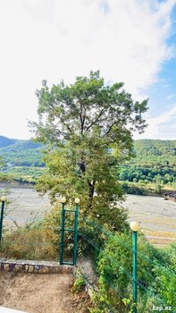 Villa kirayə verilir, Quba r.
